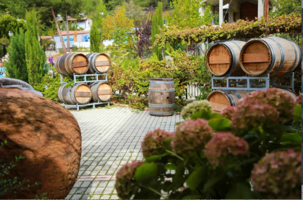 Day Tour - Troodos Mountains, Winery, and the Coast of Cyprus - November 6 - Image 4